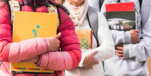 الإرشاد التربوي ودوره في حل المشكلات السلوكية